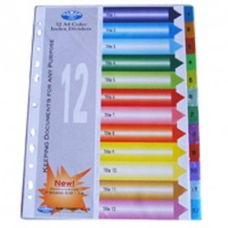 Chia file nhựa 12 màu